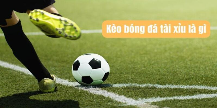 Giới thiệu sơ lược về kèo tài xỉu tại Aog777