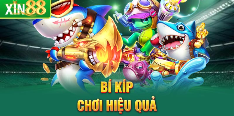 Bí kíp chơi hiệu quả